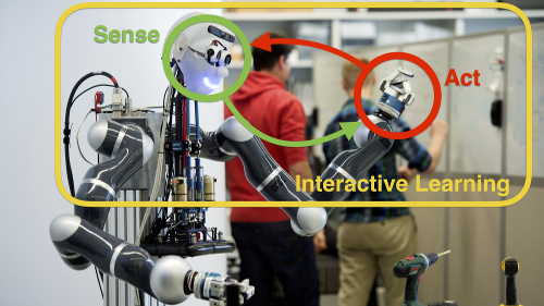 Learning Action-Perception Cycles in Robotics: A Question of Representations and Embodiment