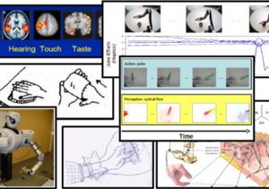 Interactive Multisensory Object Perception for Embodied Agents